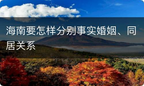 海南要怎样分别事实婚姻、同居关系