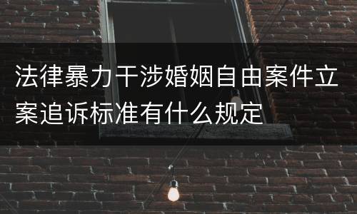 法律暴力干涉婚姻自由案件立案追诉标准有什么规定