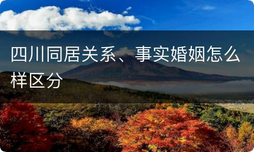 四川同居关系、事实婚姻怎么样区分