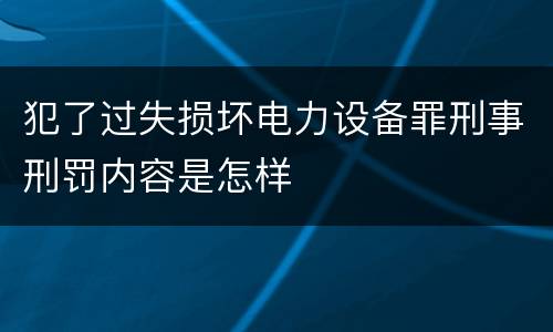 犯了过失损坏电力设备罪刑事刑罚内容是怎样