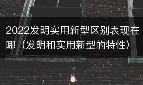 2022发明实用新型区别表现在哪（发明和实用新型的特性）