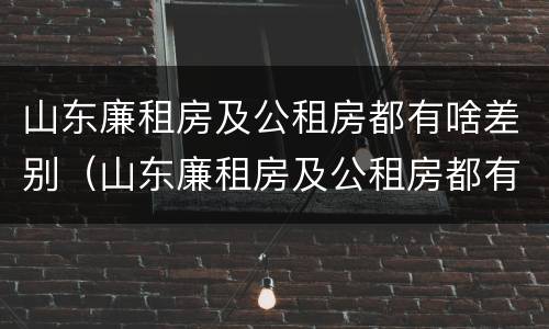 山东廉租房及公租房都有啥差别（山东廉租房及公租房都有啥差别吗）