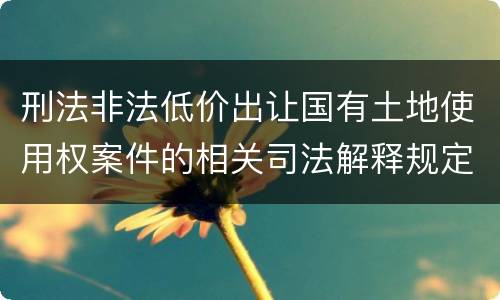 刑法非法低价出让国有土地使用权案件的相关司法解释规定具体有哪些内容