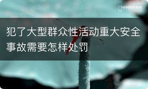 犯了大型群众性活动重大安全事故需要怎样处罚