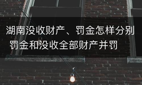 湖南没收财产、罚金怎样分别 罚金和没收全部财产并罚