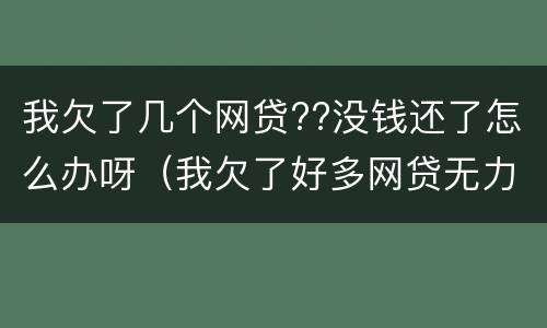 我欠了几个网贷??没钱还了怎么办呀（我欠了好多网贷无力偿还怎么办）