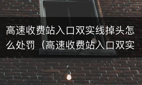 高速收费站入口双实线掉头怎么处罚（高速收费站入口双实线掉头怎么处罚的）