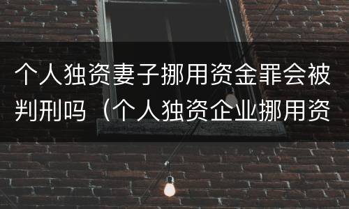 个人独资妻子挪用资金罪会被判刑吗（个人独资企业挪用资金 判例）