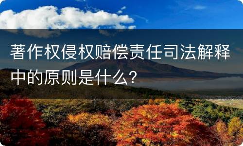 著作权侵权赔偿责任司法解释中的原则是什么？