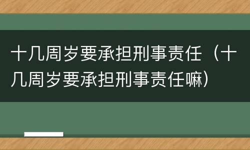 十几周岁要承担刑事责任（十几周岁要承担刑事责任嘛）