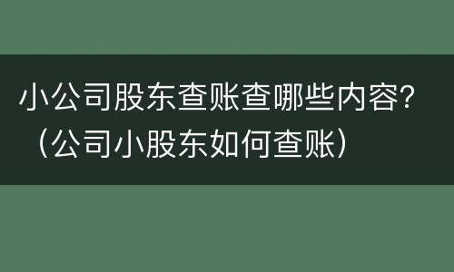 小公司股东查账查哪些内容？（公司小股东如何查账）