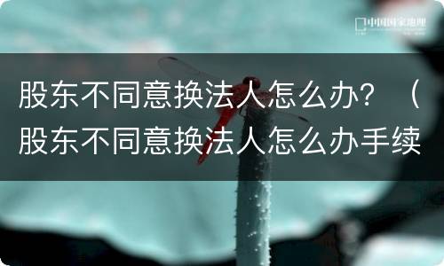 股东不同意换法人怎么办？（股东不同意换法人怎么办手续）