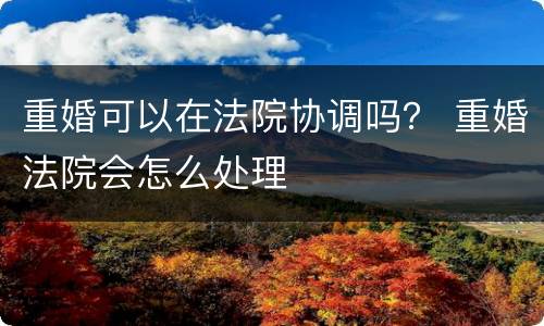 重婚可以在法院协调吗？ 重婚法院会怎么处理