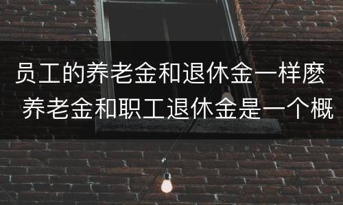 员工的养老金和退休金一样麽 养老金和职工退休金是一个概念吗?