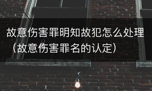 故意伤害罪明知故犯怎么处理（故意伤害罪名的认定）