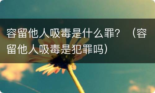 容留他人吸毒是什么罪？（容留他人吸毒是犯罪吗）