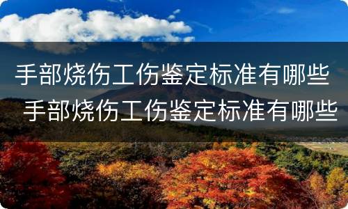 手部烧伤工伤鉴定标准有哪些 手部烧伤工伤鉴定标准有哪些类型