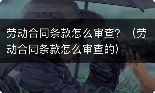 劳动合同条款怎么审查？（劳动合同条款怎么审查的）