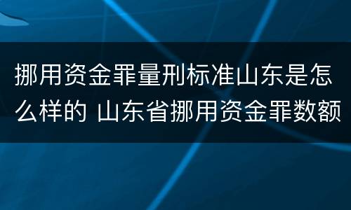 挪用资金罪量刑标准山东是怎么样的 山东省挪用资金罪数额巨大的标准