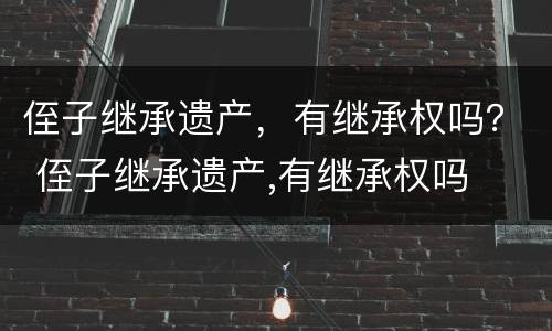 侄子继承遗产，有继承权吗？ 侄子继承遗产,有继承权吗