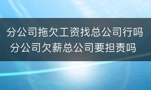 分公司拖欠工资找总公司行吗 分公司欠薪总公司要担责吗