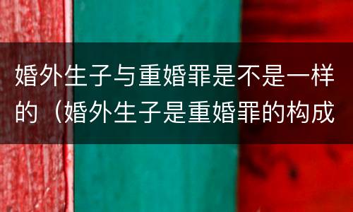 婚外生子与重婚罪是不是一样的（婚外生子是重婚罪的构成要件）