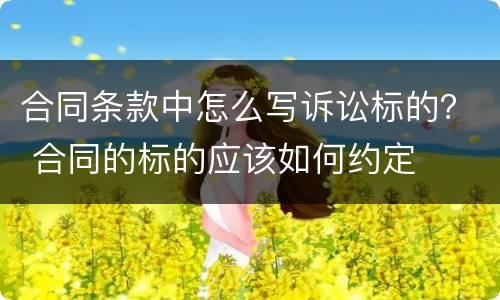 合同条款中怎么写诉讼标的？ 合同的标的应该如何约定