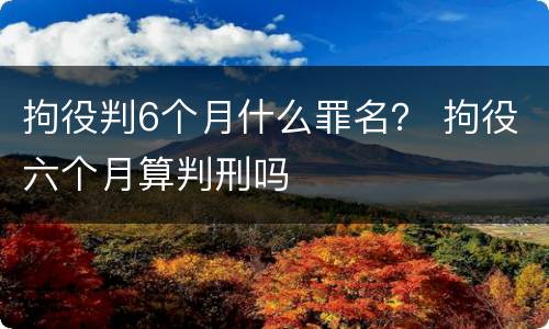 拘役判6个月什么罪名？ 拘役六个月算判刑吗