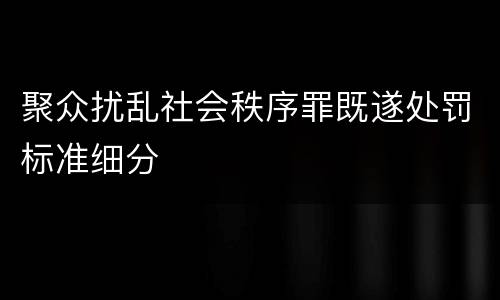 聚众扰乱社会秩序罪既遂处罚标准细分