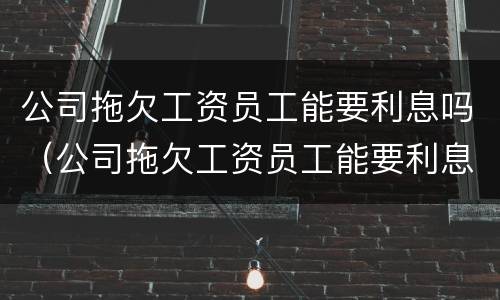 公司拖欠工资员工能要利息吗（公司拖欠工资员工能要利息吗合法吗）