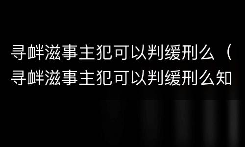 寻衅滋事主犯可以判缓刑么（寻衅滋事主犯可以判缓刑么知乎）