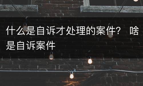 什么是自诉才处理的案件？ 啥是自诉案件