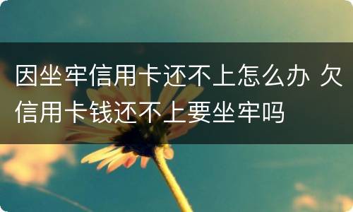 因坐牢信用卡还不上怎么办 欠信用卡钱还不上要坐牢吗