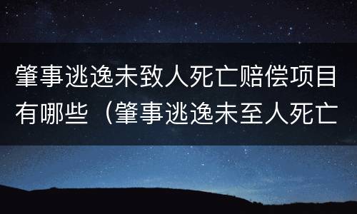 肇事逃逸未致人死亡赔偿项目有哪些（肇事逃逸未至人死亡）