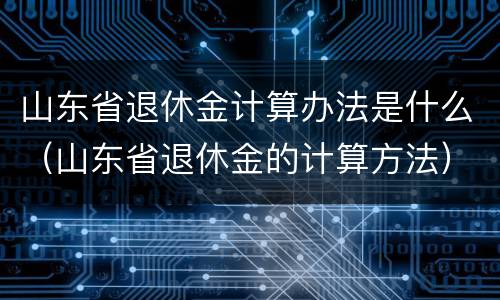 山东省退休金计算办法是什么（山东省退休金的计算方法）