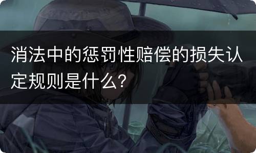 消法中的惩罚性赔偿的损失认定规则是什么？