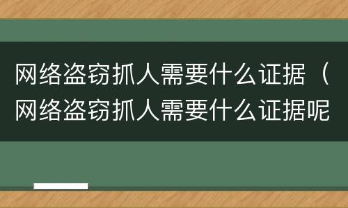 网络盗窃抓人需要什么证据（网络盗窃抓人需要什么证据呢）