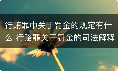 行贿罪中关于罚金的规定有什么 行赂罪关于罚金的司法解释