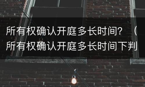 所有权确认开庭多长时间？（所有权确认开庭多长时间下判决书）