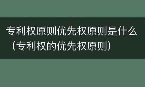 专利权原则优先权原则是什么（专利权的优先权原则）