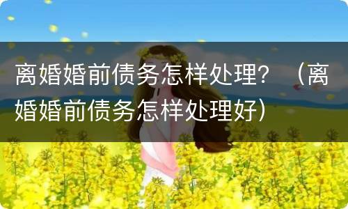 离婚婚前债务怎样处理？（离婚婚前债务怎样处理好）