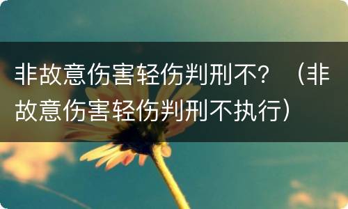 非故意伤害轻伤判刑不？（非故意伤害轻伤判刑不执行）