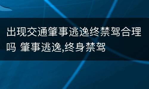 出现交通肇事逃逸终禁驾合理吗 肇事逃逸,终身禁驾