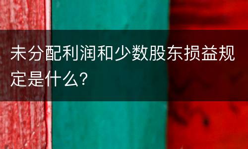 未分配利润和少数股东损益规定是什么？