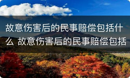 故意伤害后的民事赔偿包括什么 故意伤害后的民事赔偿包括什么内容