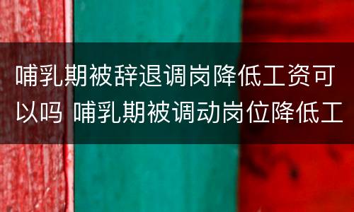 哺乳期被辞退调岗降低工资可以吗 哺乳期被调动岗位降低工资