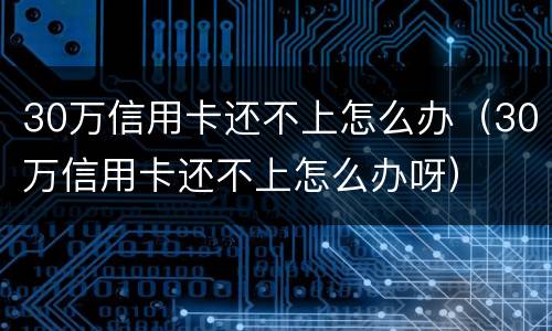 30万信用卡还不上怎么办（30万信用卡还不上怎么办呀）