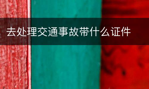 去处理交通事故带什么证件