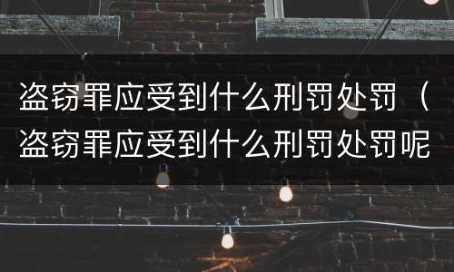 盗窃罪应受到什么刑罚处罚（盗窃罪应受到什么刑罚处罚呢）