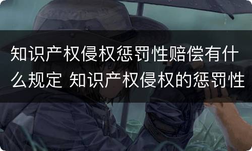 知识产权侵权惩罚性赔偿有什么规定 知识产权侵权的惩罚性赔偿